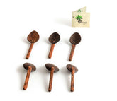 Coconut Shell Masala Spoon Set of 6 for Small Containers | Handmade & Eco-Friendly | for Tea, Coffee, Sugar, Spices